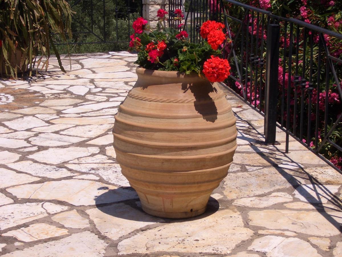 Villa Bacchus Kassiopi Corfu 外观 照片