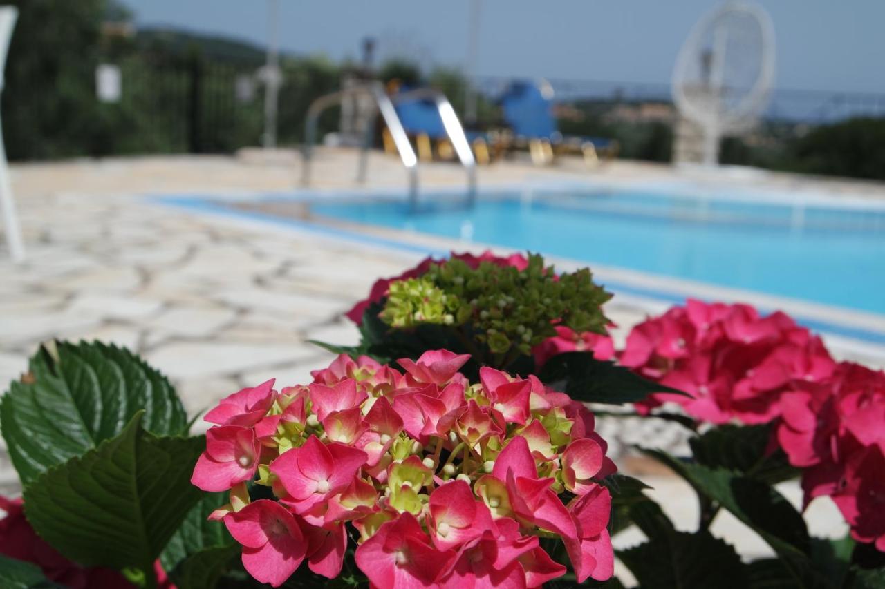 Villa Bacchus Kassiopi Corfu 外观 照片